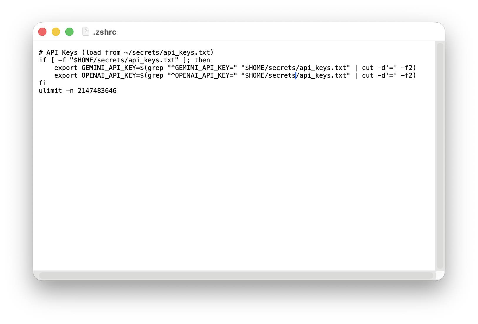 .zshrc に APIキー読み込みコードを書いた画面