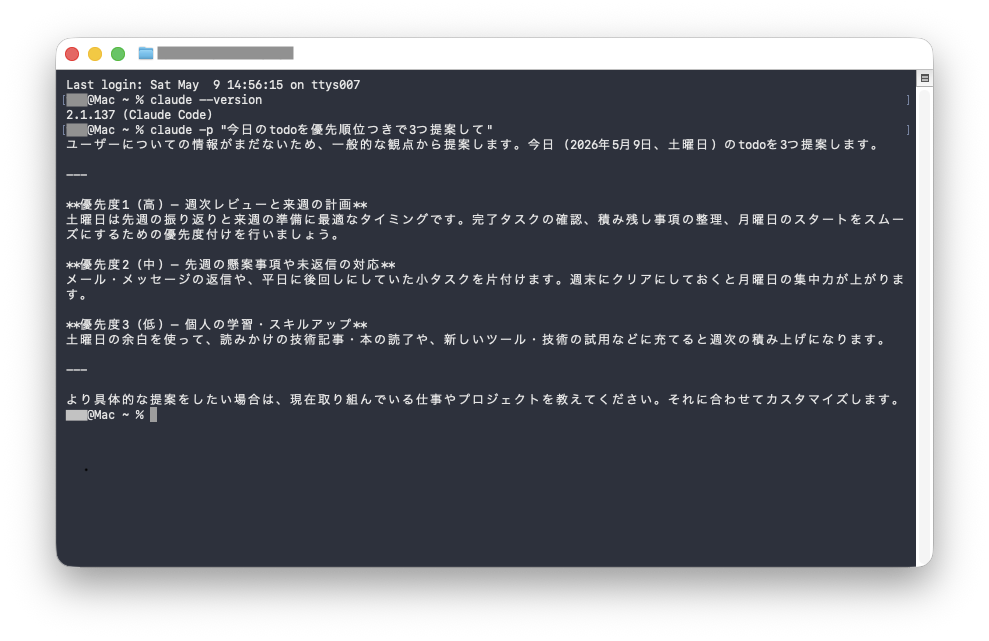 -pフラグの実行画面